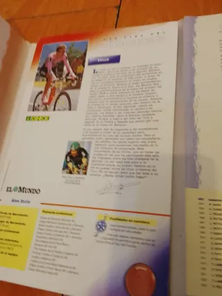 Colección de Pins  Ciclismo Tour 95
