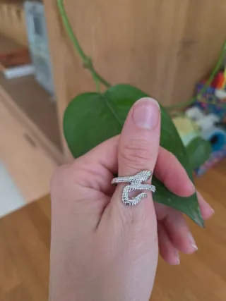 Anillo Serpiente Plateado