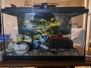 Pecera 40L con accesorios