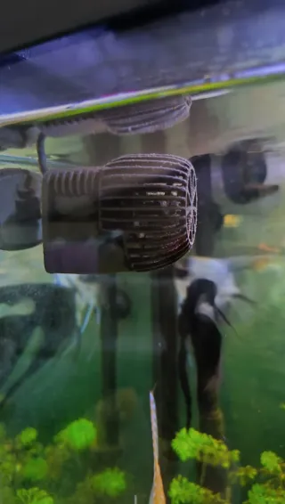 Acuario 300L con mueble.OPORTUNIDAD!!