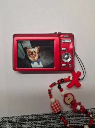 Cámara Fujifilm JX500