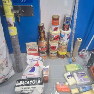 Lote pintura profesional, 5 rodillos