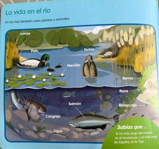 Colección completa de 12 libros educativos