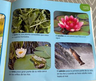 Colección completa de 12 libros educativos