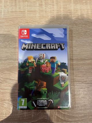 Minecraft Nintendo Switch
