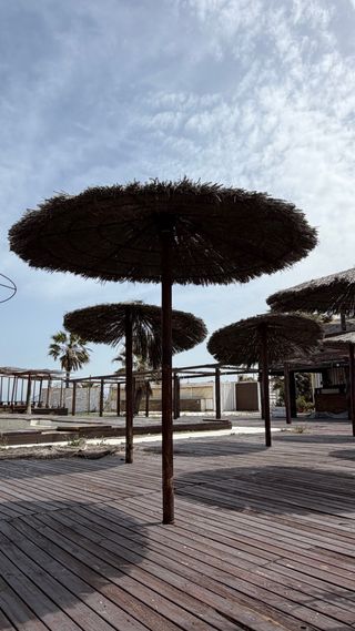 Sombrillas de playa de madera y cañizo