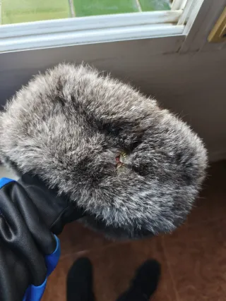 Gorra de piel soviética con insignia.ejercito ruso