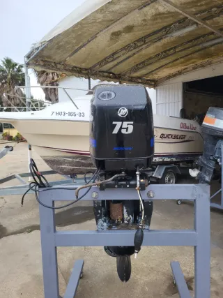 Motor fueraborda Mercury 2 tiempos