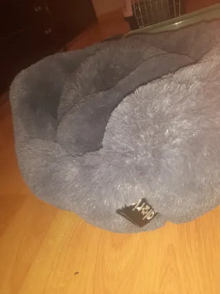 Accesorios para gatos: transportín, cama y comedor