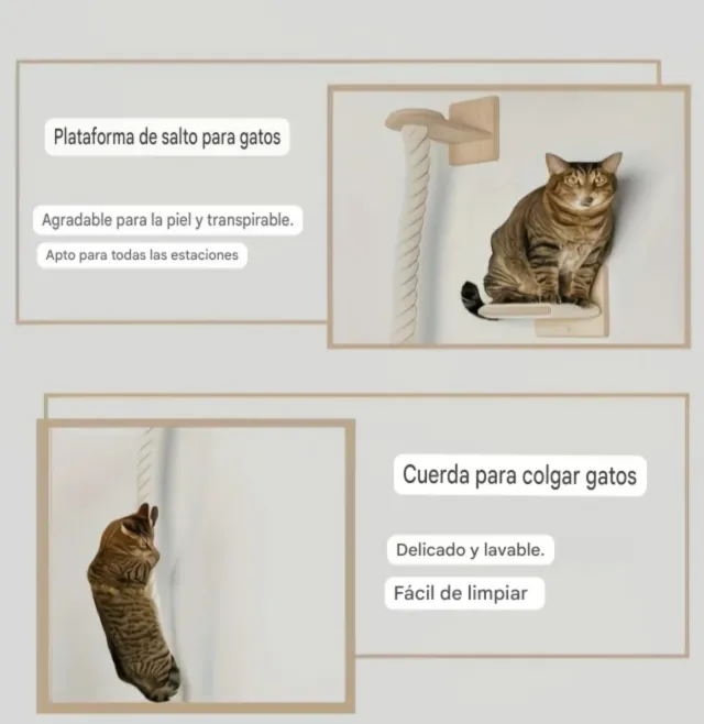 Torre escalada pared gato | Paraíso para mascotas