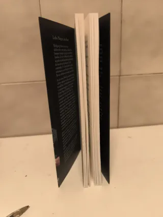 Lobo Negro, un skin. Marie Hagemann