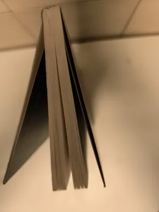 Lobo Negro, un skin. Marie Hagemann