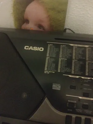 Teclado Casio 2-Way Bass Reflex Speaker