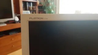 Monitor LG Flatron 17 Gris/Blanco