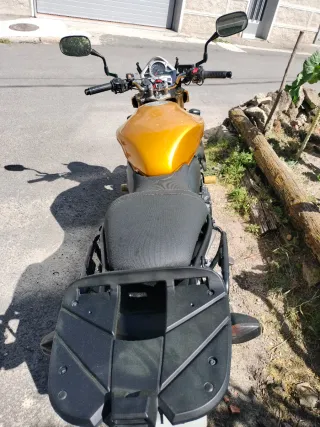 Honda CB600F Hornet Dorada