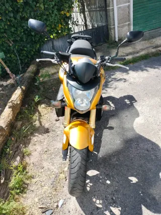 Honda CB600F Hornet Dorada