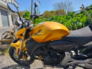 Honda CB600F Hornet Dorada