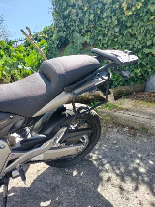 Honda CB600F Hornet Dorada