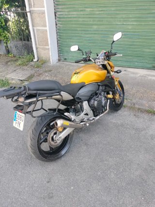 Honda CB600F Hornet Dorada