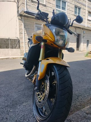 Honda CB600F Hornet Dorada