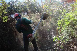 Desbroce y limpieza de parcelas | Mantenimiento