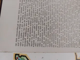 Il libro delle mie ricerche