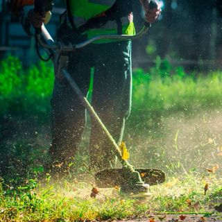Limpieza de terrenos y retirada de restos.