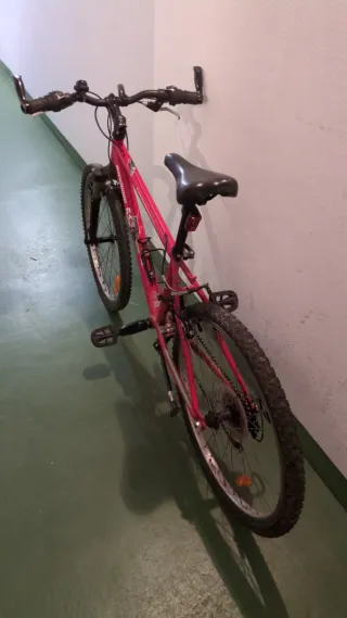 Bicicleta Montaña Infantil Rueda 22