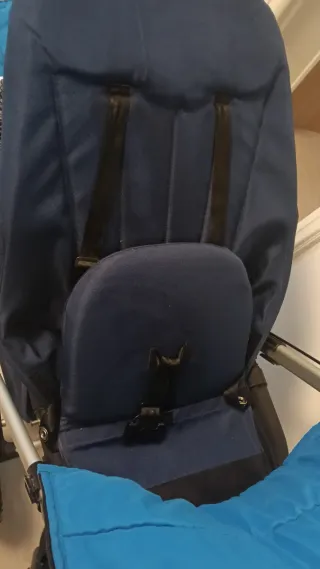 Bugaboo Camaleón carrito bebé