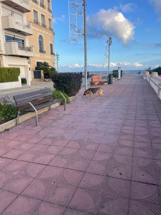 Lloguer de pisos setembre–juny a Sant Pol de Mar
