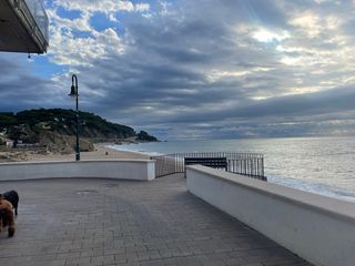 Lloguer de pisos setembre–juny a Sant Pol de Mar