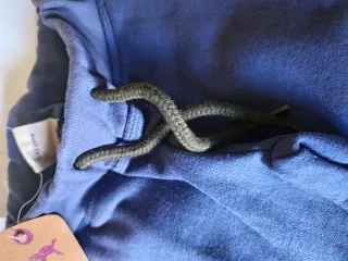 Calças de fato treino azuis com fecho