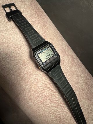 Casio DB-31 Data Bank