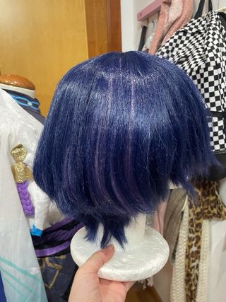 Cosplay wanderer