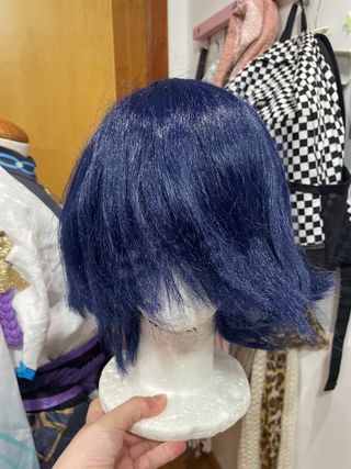 Cosplay wanderer