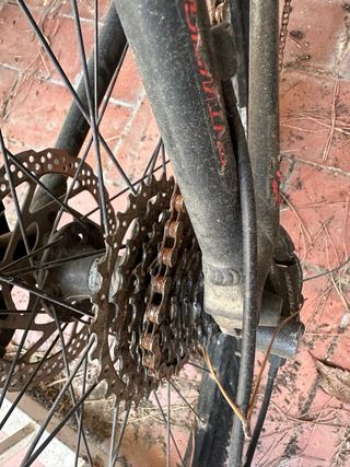 Bicicleta FOCUS para reparar