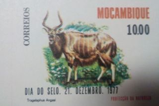 Moçambique Selo Proteção Natureza 1977