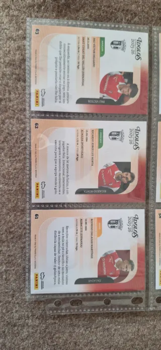 Coleção Cartas Futebol Panini Idolos Braga