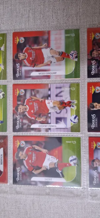 Coleção Panini Ídolos Futebol Cartas
