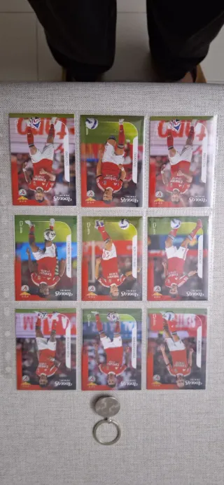 Coleção Panini Ídolos Futebol Cartas