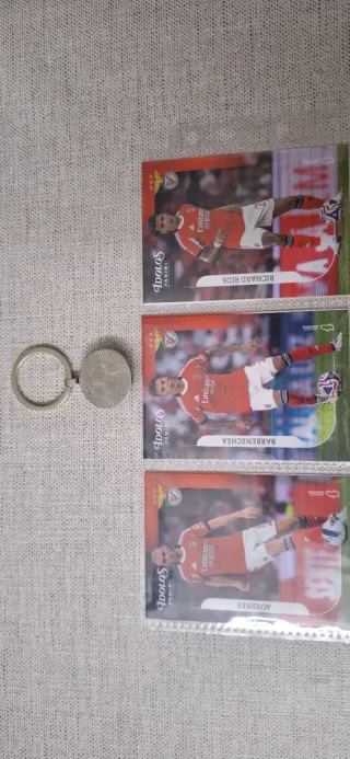 Coleção Panini Ídolos Futebol Cartas