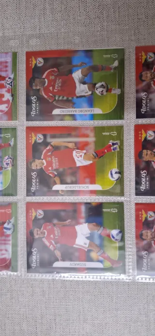 Coleção Panini Ídolos Futebol Cartas