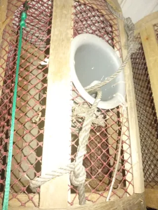 Nasas de madera pulpo nécora