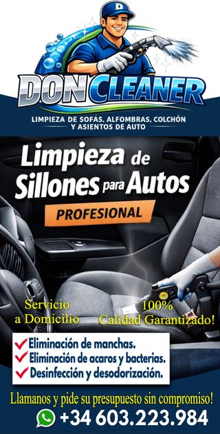 limpieza de sofas, colchones, alfombra, ventanas.