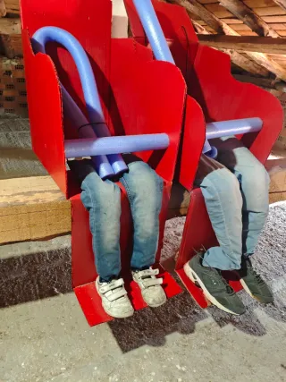 Disfraz Montaña Rusa