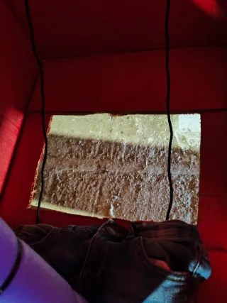 Disfraz Montaña Rusa