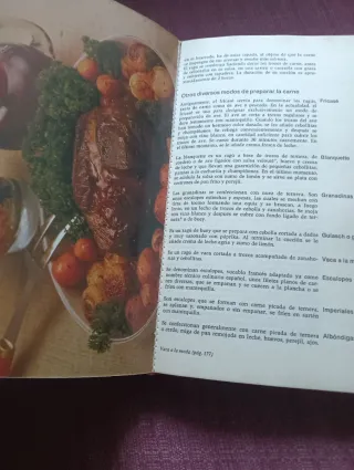 Gran libro de cocina española. Juan Mujal Roig