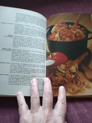 Gran libro de cocina española. Juan Mujal Roig