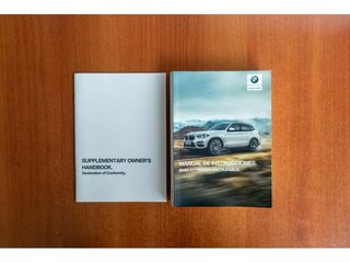BMW X3 xDrive30e 215 kW (292 CV)