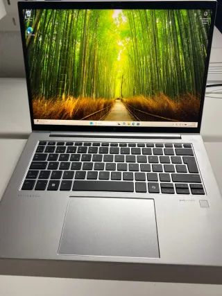 Portátil HP Elitebook 845 G11 Plata